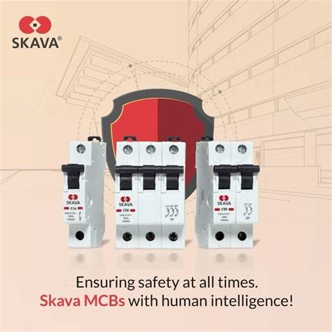 Skava Electric Private Limited 